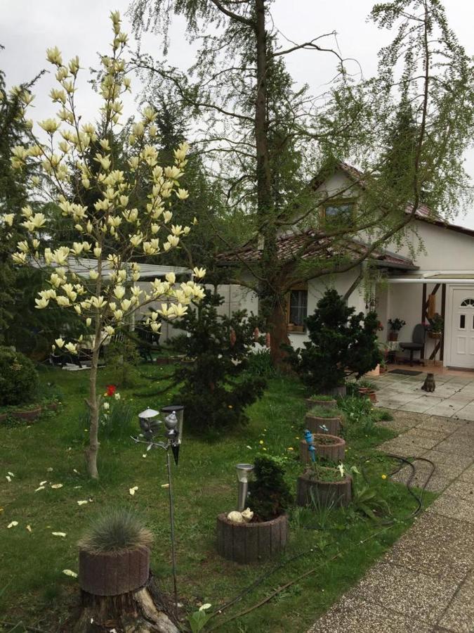 Apartament Kleines Haus Im Oderbruch Neutrebbin Zewnętrze zdjęcie