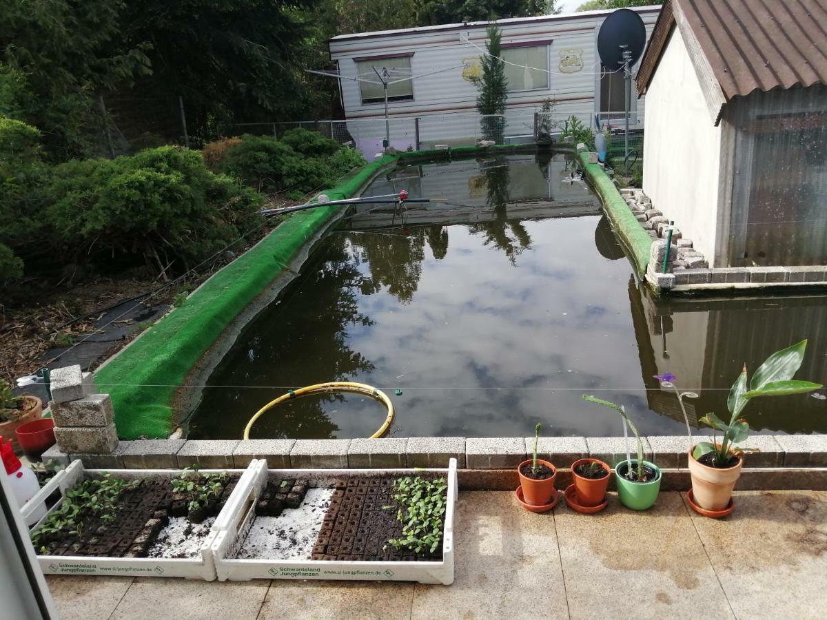 Apartament Kleines Haus Im Oderbruch Neutrebbin Zewnętrze zdjęcie
